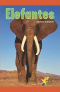Elefantes/ Big Elephants (Spanish Edition)