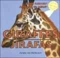 Giraffes/Jirafas