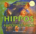 Hippos/Hipopotamos
