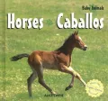 Horses/Caballos