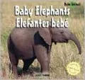 Baby Elephants/Elefantes Bebe