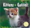 Kittens/Gatitos
