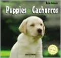 Puppies/Cachorros