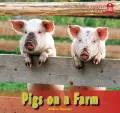Pigs on a Farm