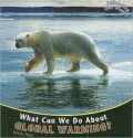 What Can We Do About Global Warming?