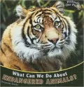 What Can We Do About Endangered Animals?