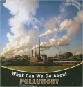 What Can We Do About Pollution?