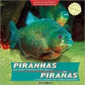Piranas y otros animales de la selva amazonica / Piranhas and Other Creatures of the Amazon