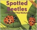 Spotted Beetles: Ladybugs in Your Backyard