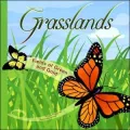 Grasslands: Fields of Green and Gold