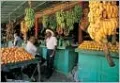 Dominican Republic: An Introduction and Guide