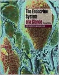 The Endocrine System at a Glance