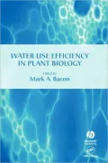 Water Use Efficiency In Plant