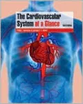 Cardiovascular System at a Glance