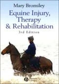 Equine Injury, Therapy and Rehabilitation