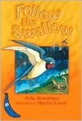 Follow the Swallow