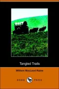 Tangled Trails