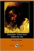 Darkwater: Voices from within the Veil