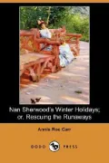 Nan Sherwoods Winter Holidays or Rescuin