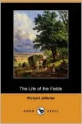The Life of the Fields
