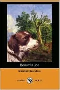 Beautiful Joe