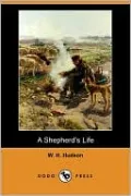 A Shepherd's Life