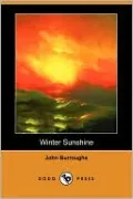 Winter Sunshine