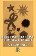 Jelly Fish Star Fish and Sea Urchins