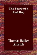 Story of A Bad Boy