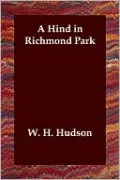 Hind in Richmond Park
