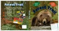 Forest Trail