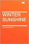 Winter Sunshine
