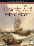 Enemy in Sight!