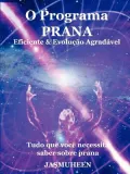 O Programa Prana Evoluo Agradvel E Eficaz
