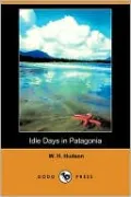 Idle Days In Patagonia