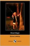 Wood Magic