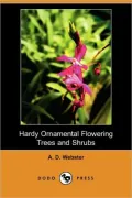 Hardy Ornamental Flowering Trees And Shrubs