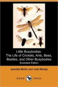 Little Busybodies: The Life of Crickets, Ants, Bees, Beetles, and Other Busybodies (Illustrated Edition) (Dodo Press)