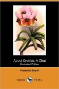 About Orchids