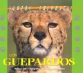 El gurpardo (The Cheetah)