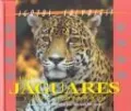 El jaguar y el leopardo (The Jaguar and the Leopard)