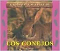 El conejo (Rabbit)