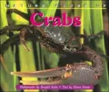 Crabs