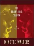 The Chameleon's Shadow