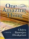 One Amazing Thing