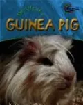 Life of a Guinea Pig