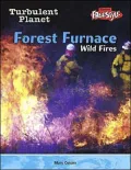 Forest Furnace
