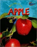 The Life of an Apple