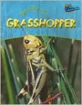The Life of a Grasshopper
