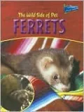 The Wild Side of Pet Ferrets